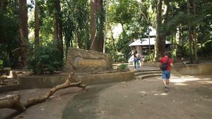 Самуи 2 день Достопримечательности