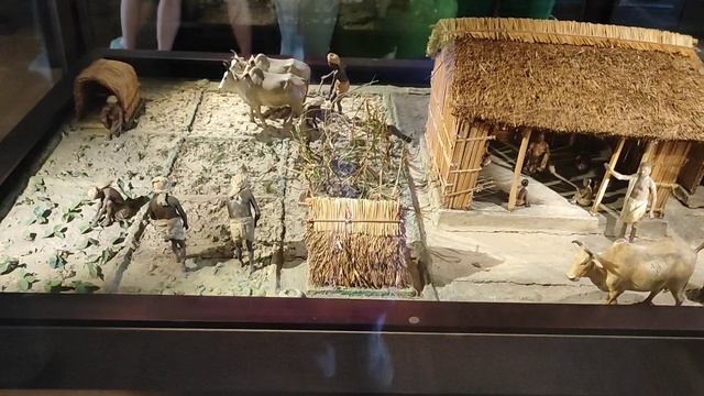 Музей Антропологии и Этнографии, кункскамера, в Санкт-Петербурге