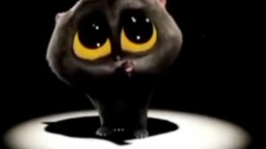 Поющий котёнок