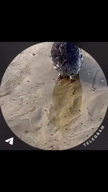 Скачать видео ➡️➡️➡️ в т. Г. https://t.me/cartolega смотреть онлайн