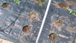 Из Германии в Россию. На конец то настал тот день. Закрываем объект. Шикарно