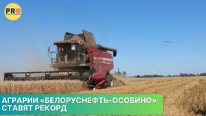 Аграрии «Белоруснефть-Особино» ставят рекорд