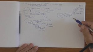 Функции власти. Законодательная власть и собрание. Парламент. Власть и народ. 2018