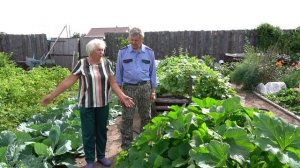 "Во саду ли, в огороде" ( Выпуск от 15.08.2025)