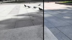 Осваиваю для себя Скейтборд 🛹