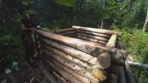 ЛЕСОТЕРАПИЯ ОТ НЕДУГОВ, ХОТИТЕ ВЕРЬТЕ ХОТИТЕ НЕТ. СТРОЮ НОВУЮ ИЗБУ СИБИРСКОГО ОТШЕЛЬНИКА