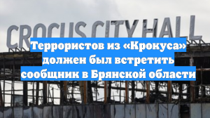 Террористов из «Крокуса» должен был встретить сообщник в Брянской области