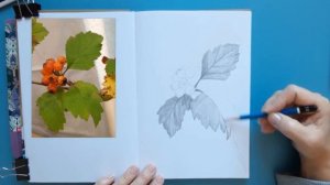 Урок рисунка. Рисуем веточку с ягодами, простым карандашом. Правильная штриховка по форме.
