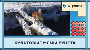 Культовые мемы Рунета, которые мы помним и любим