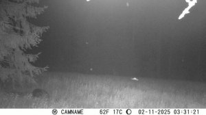 Фотоловушка KeepGuard 696