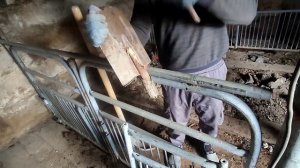 Заливаем пол в сарае… #жизньвказахстане #казахстан