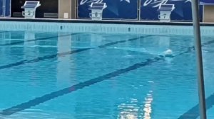 Метеор на соревнованиях в Томске. 2024 г.