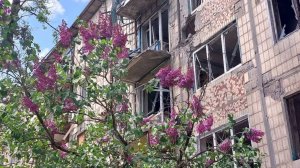 Авдеевка: Черешня в копоти и трупный яд