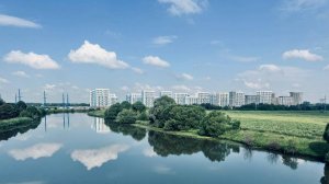 Прибрежный вайб - Coastal park