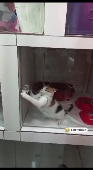 А что, так можно было чтоли?😁