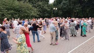 Чья здесь вина..... 10.08.25 Гомель парк Луначарского 🥰💫