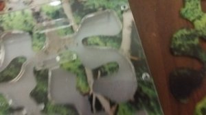 муравьи зашли в ходы!!!!!!!!!!!!! они супер молодцы