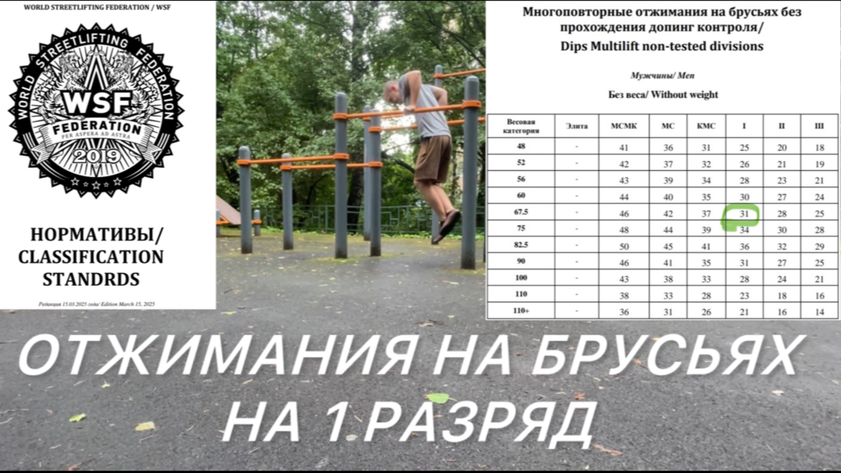 Как я выполнил норму первого спортивного разряда на брусьях