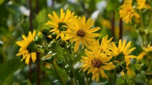 Эта фраза перекрывает денежный поток.