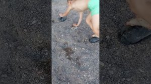 Пол это лава 2 часть