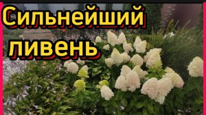 Сильнейший ливень 💦 А после него красота....