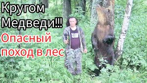 Опасный поход в лес, в окружении медведей!