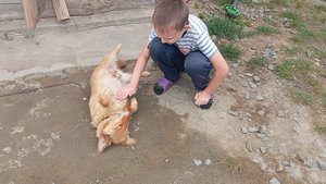 Затопило кухню.Делаю перестановку.