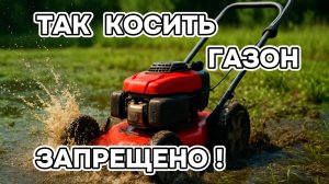 Косить или не косить ? Косим по болоту. #газон #уходзагазоном #газонокосилка