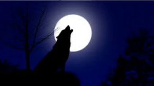 Волчья луна. Шопен, Ноктюрн №20