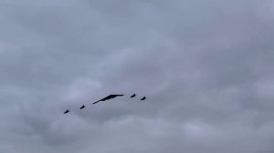 В Честь Путина Устроили Авиапарад На Аляске.