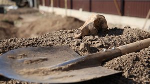 15 августа - День археолога