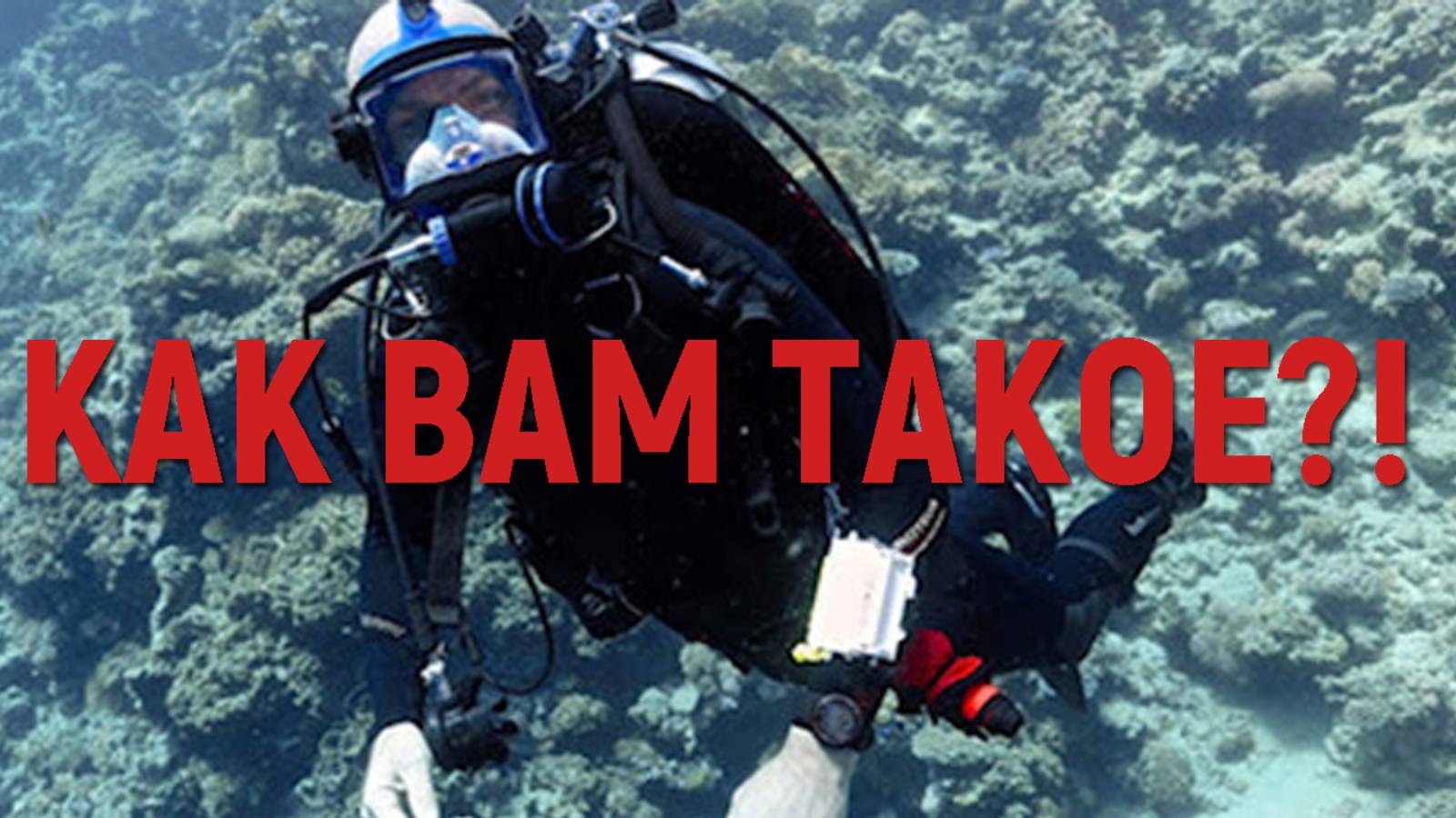 Как вам такое? Случай №100 смотреть онлайн