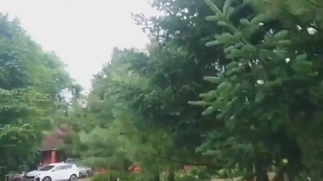 Усадьба в с. Кравцовка