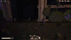 финал дорс в саду