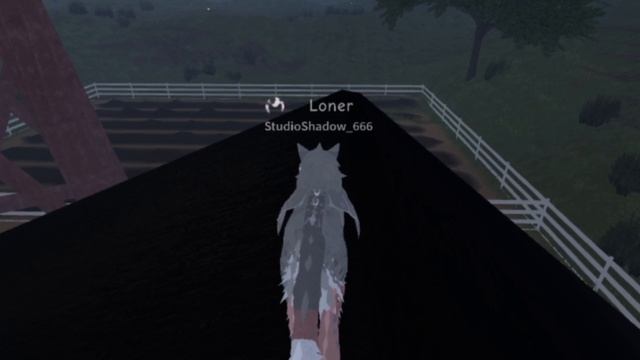 Реакция на сьюху Беличью Звезду..позор рутуба..