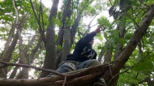 Лёня роботехник строит домик на дереве из веток 🌳 + Чижик в гостях