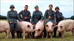 🔴История Окраїны🔴