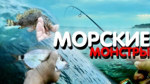 ОХОТА НА МОРСКИХ МОНСТРОВ || МОРСКАЯ РЫБАЛКА || РЫБАЛКА АРХИПО ОСИПОВКА