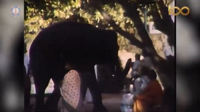 Истина - Моё Имя | Фильм о Сатья Саи Бабе смотреть онлайн