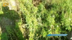 ЖЕЛЕЗНОГОРЕЦ ОТМЕТИЛ НЕСКОЛЬКО ПРОБЛЕМ ГОРОДСКОГО ВОДОХРАНИЛИЩА