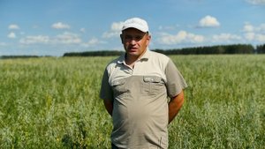 Вика озимая+овес на технологии Ключ к Эффективному Фотосинтезу. Дамир Мунирович- Аппаков В. И., Нижн