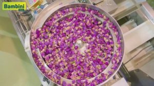 Производство Bambini pets