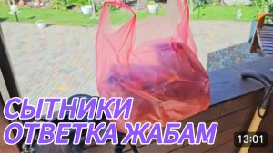 САМВЕЛ АДАМЯН, СЫТНИКИ, КАРТОШКА ПЮРЕ, ОТВЕТКА ЖАБАМ..