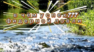 Успех ФИДЕРНОЙ ЛОВЛИ