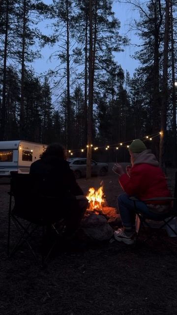В лесу хорошо смотреть онлайн