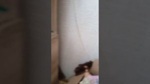 Игрушка Лабубу