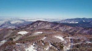 Мишина гора