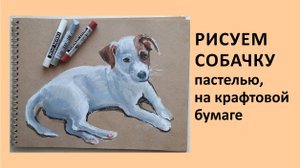 как нарисовать собаку пастелью, крафт бумага, мастер-класс. How to draw a dog with pastels