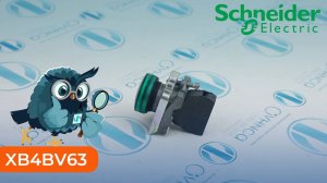 XB4BV63 Лампа сигнальная Schneider Electric - Олниса