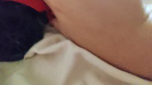 ferrari попала в аварию